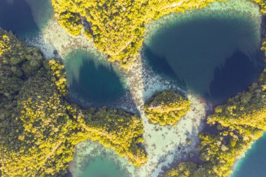 Havadan gördün, sağlıklı mercan resifleri Raja Ampat, Endonezya buldum inanılmaz kireçtaşı Adaları çevreleyen. Bu uzak, tropikal bölge inanılmaz deniz biyoçeşitliliği için bilinen.
