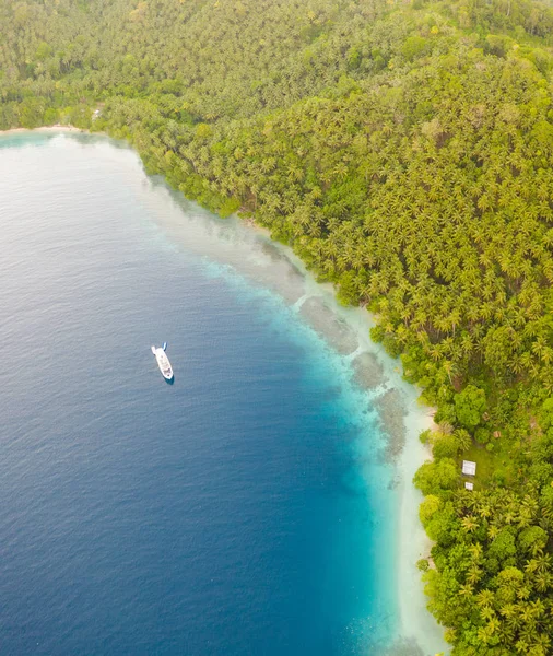An aerial view of the remote island of New Ireland in Papua New Guinea shows beautiful, shallow reef growth. This remote area is part of the Coral Triangle due to its high marine biodiversity.