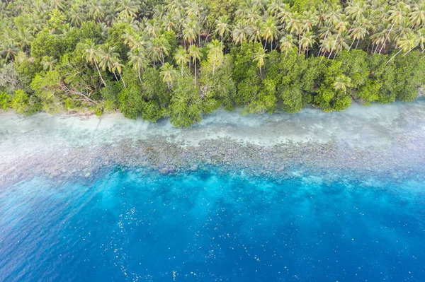 An aerial view of the remote island of New Ireland in Papua New Guinea shows beautiful, shallow reef growth. This remote area is part of the Coral Triangle due to its high marine biodiversity.