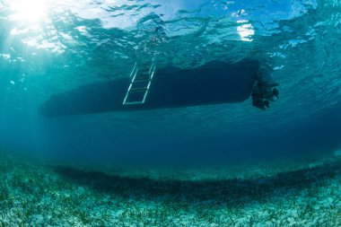 Küçük bir dalış tekne Turneffe Atoll, Belize sığ, deniz otkaplı deniz tabanı üzerinde yüzer. Bu alan, çok uzak olmayan ünlü Blue Hole, güzel tüplü dalış ve şnorkel için bilinir.