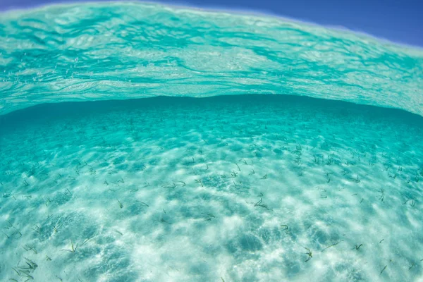 Clear, warm water flows over a sandy seafloor in the Caribbean Sea.