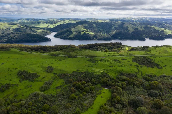 Inverno Chuvoso Causou Crescimento Exuberante Nas Colinas East Bay Perto — Fotografia de Stock