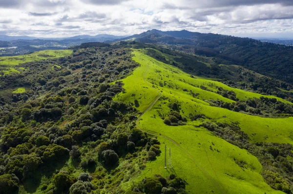 A wet winter has caused lush growth in the East Bay hills near San Francisco. Much of the year this region is quite dry and the hills appear golden rather than vibrant green.