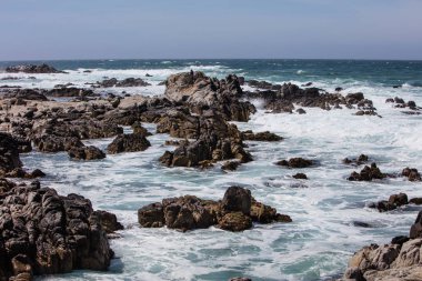 Pasifik Okyanusu'nun besin açısından zengin suları Monterey Körfezi'nin güneyindeki güzel, kayalık Kaliforniya kıyı şeridine karşı yıkanır. Bu alan muhteşem doğal manzarası ile ünlüdür.