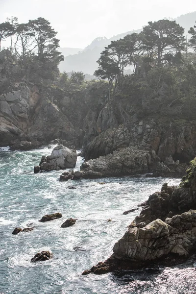 영양이 풍부한 태평양 바다는 몬테레이 남쪽의 포인트 로보스 Point Lobos — 스톡 사진