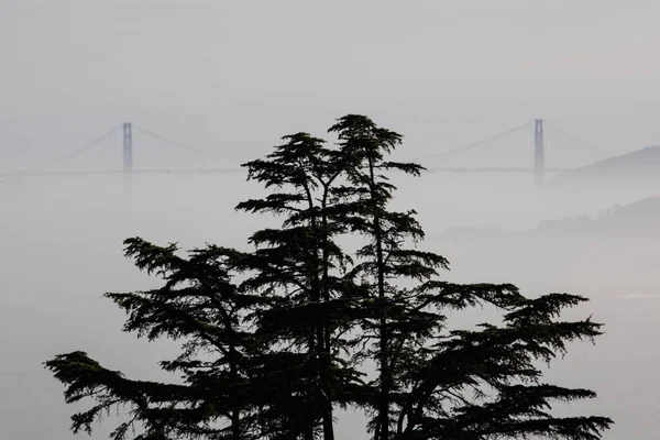 Visto Desde Bahía Este Puente Golden Gate Conecta Ciudad San —  Fotos de Stock