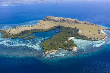 Kuş bakışı bakıldığında, engebeli bir ada Komodo Milli Parkı, Endonezya bir mangrov ve resif ile çevrilidir. Bu tropik alan, deniz biyolojik çeşitliliği nin yanı sıra ejderhaları ile de bilinir..