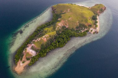 Kuş bakışı bakıldığında, pastoral bir ada Komodo Milli Parkı, Endonezya sağlıklı bir mercan resifi ile çevrilidir. Bu tropik alan, deniz biyolojik çeşitliliği nin yanı sıra ejderhaları ile de bilinir..