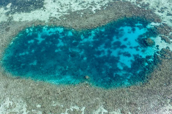 조감도에서 구멍은 인도네시아 코모도 국립공원의 산호초로 둘러싸여 있습니다 지역은 다양성뿐만 — 스톡 사진