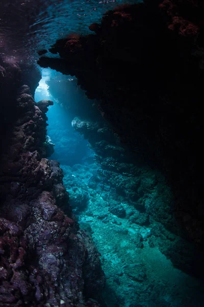 Light descends into the darkness of a submerged cavern in the Solomon Islands. Caves and caverns riddle coral reefs since limestone can be easily eroded.