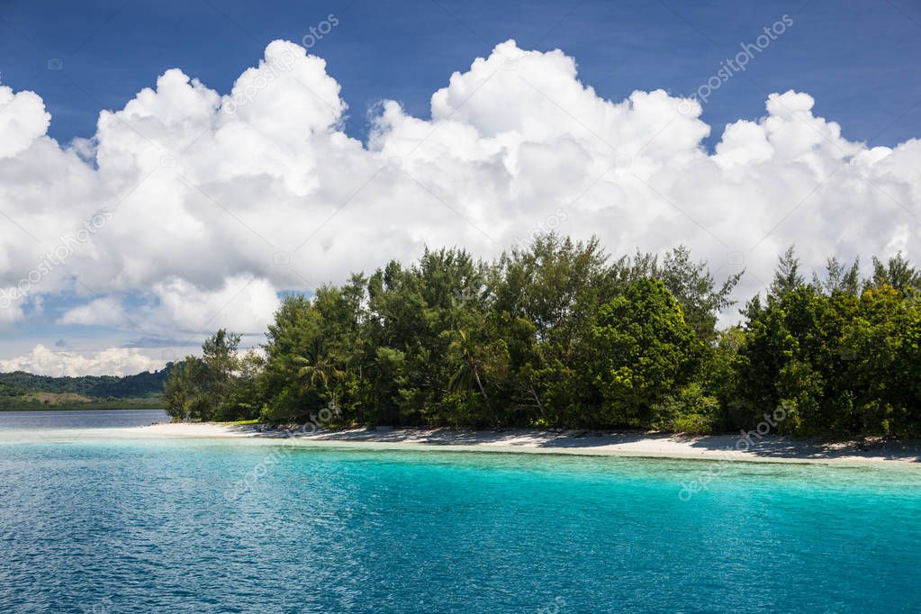 Bright sunlight shine on a remote beach and colorful lagoon in the Solomon Islands. This tropical region is home to an extraordinary amount of marine biodiversity.