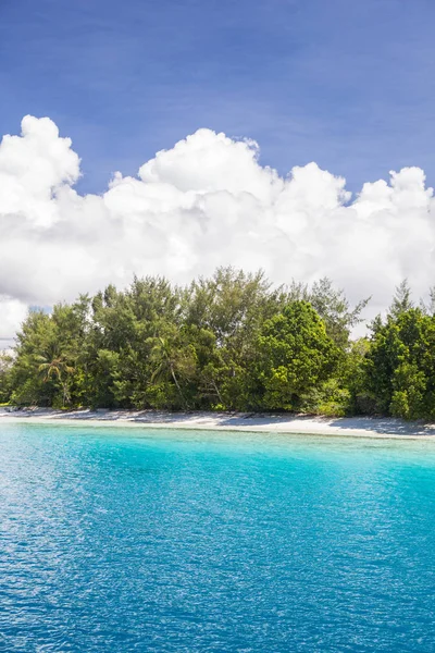 明亮的阳光照耀在所罗门群岛一个偏远的海滩和五颜六色的泻湖上 这个热带地区拥有大量的海洋生物多样性 — 图库照片