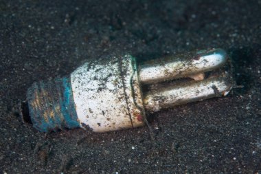 Atılan bir ampul Endonezya 'da deniz geminde yatıyor. Ampuller onları bulunan cıva ile çevreyi kirletebilir.