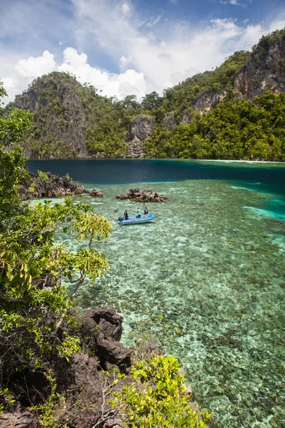 Mělký Zdravý Útes Lemuje Rozeklané Vápencové Ostrovy Raja Ampat Indonésii — Stock fotografie