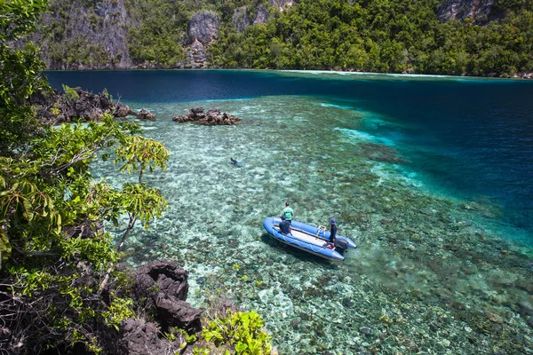 Неглубокий Здоровый Риф Граничит Прочными Известняковыми Островами Раджа Ампат Индонезия — стоковое фото