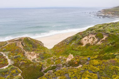 Bir kuş bakışı seen, Pasifik Okyanusu Kuzey Kaliforniya 'da Monterey güneyinde güzel bir plaj karşı yıkıyor. Bu güzel alan ünlü Pacific Coast otoyolu paralel çalışır.