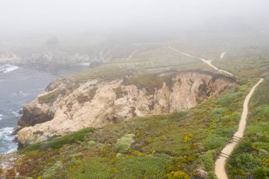Pasifik Okyanusu, Kuzey Kaliforniya'daki Monterey'in güneyindeki kayalık kıyıya karşı yıkar. Bu güzel alan ünlü Pacific Coast Highway paralel çalışır.