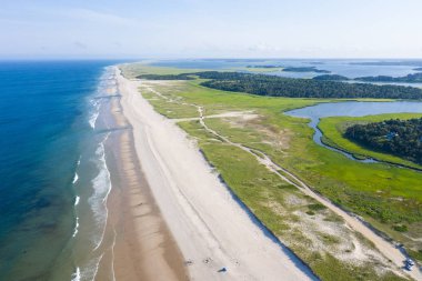 Lily pedleri kaotik bir karmaşa Cape Cod, Massachusetts sığ bir gölet büyür. Göletler ve göller gezegenin yüzeyinin yaklaşık %2'sini kaplar ancak dünyanın tatlı sularının çoğunu içerir..