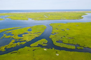 Narrow channels run through a lush salt marsh on Cape Cod, Massachusetts. This type of marine habitat serves as a nursery for fish and invertebrates and a feeding ground for many species of bird. clipart
