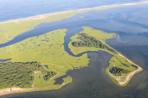 A salt marsh surrounds Hog Island in Pleasant Bay on Cape Cod, Massachusetts. This type of marine habitat serves as a nursery for fish and invertebrates and a feeding ground for many species of bird.