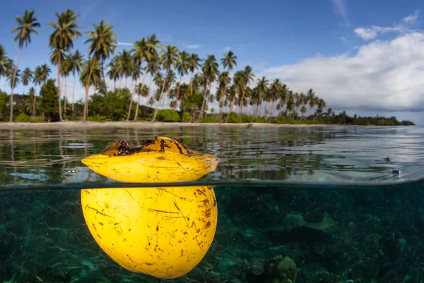 Een Kokosnoot Schil Zweeft Aan Oppervlakte Net Buiten Een Strand — Stockfoto