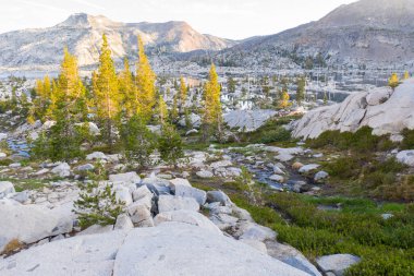 Kaliforniya'daki Sierra Nevada dağları, buzullar tarafından yontulmuş 100 milyon yıllık granitten oluşur. Dağ sırası 3 milli park ve 20 vahşi alaniçerir.