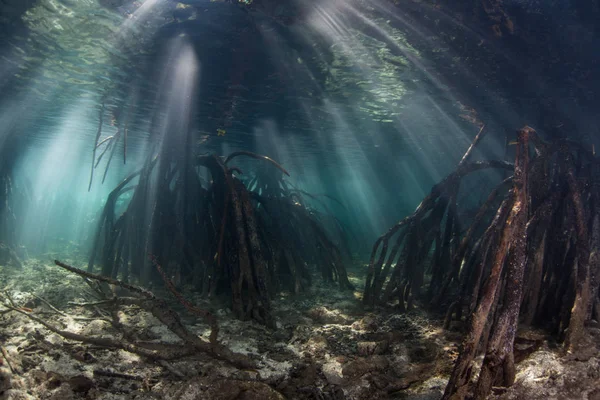 Güneş Işığı Demetleri Raja Ampat Endonezya Tropikal Adalar Arasında Gölgeli — Stok fotoğraf