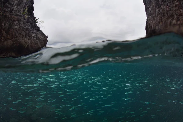Велика Школа Сільвер Плаває Між Двома Вапняковими Островами Раджа Ampat — стокове фото