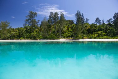 Berrak, ılık su Raja Ampat uzak, tropikal adalar arasında pastoral bir plaj yıkar, Endonezya. Bu ekvatoral bölge muhtemelen deniz biyolojik çeşitliliğinin merkezidir..