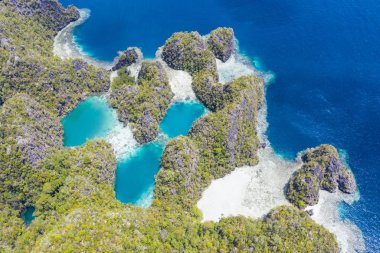 Fırlayan mercan resifleri Misool, Raja Ampat, Endonezya yakınlarında bulunan güzel kireçtaşı adaları boyunca gelişir. Bu tropikal alan inanılmaz deniz biyolojik çeşitliliğiyle bilinir..