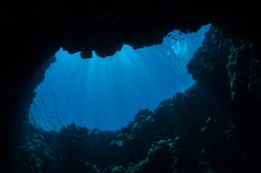 Güneş ışığı Palau Cumhuriyeti 'ndeki karanlık bir sualtı mağarasına sızar. Palau 'nun görkemli ve çeşitli mercan resifleri mağaralar, mağaralar ve mavi deliklerle doludur..