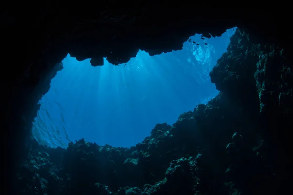 Sunlight filters into a dark, underwater cave in the Republic of Palau. Palau\'s spectacular and diverse coral reefs are riddled with caves, caverns, and blue holes.
