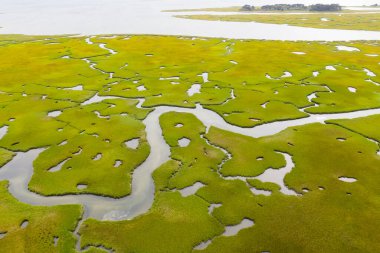 Narrow channels meander through a salt marsh in Pleasant Bay, Cape Cod, Massachusetts. Marshes are wetlands that serve as nurseries and feeding grounds for fish, invertebrates, and many bird species. clipart