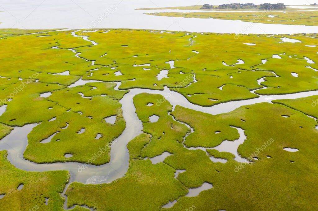 Narrow channels meander through a salt marsh in Pleasant Bay, Cape Cod, Massachusetts. Marshes are wetlands that serve as nurseries and feeding grounds for fish, invertebrates, and many bird species.