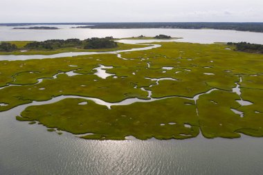 Cape Cod, Massachusetts 'te tuz bataklıkları ve haliçler bulunur. Çeşitli kuşlar, balıklar ve deniz omurgasızları için sakin bir yuva, beslenme ve üreme ortamı sağlarlar.. 