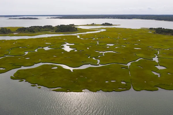 Salt marshes and estuaries are found throughout Cape Cod, Massachusetts. They provide calm nesting, feeding and breeding habitat for a variety of birds, fish, and marine invertebrates.