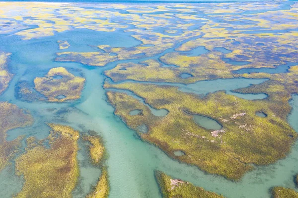 Cape Cod, Massachusetts 'te tuz bataklıkları ve haliçler bulunur. Çeşitli kuşlar, balıklar ve deniz omurgasızları için sakin bir yuva, beslenme ve üreme ortamı sağlarlar.. 