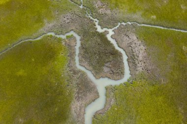 Cape Cod, Massachusetts 'te tuzlu bir bataklıkta dar kanallar var. Bu doğal karbon lavaboları vahşi yaşam için korunaklı bakım odalarıdır ve fırtınalara ve dalgalara karşı tampon görevi görürler..