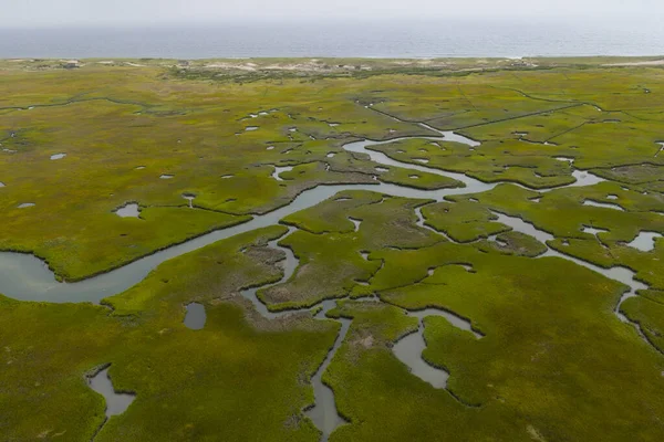 Cape Cod, Massachusetts 'te tuzlu bir bataklıkta dar kanallar var. Bu doğal karbon lavaboları vahşi yaşam için korunaklı bakım odalarıdır ve fırtınalara ve dalgalara karşı tampon görevi görürler..