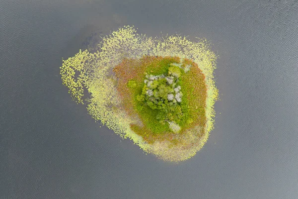 Cape Cod çaydanlığı göletinde renkli bitkilerle kaplı küçük bir ada bulunur. İzole edilmiş bitki ve ağaç adaları pek çok kuş, sürüngen ve balık türüne barınak sağlar..