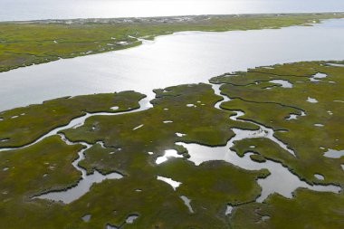 Cape Cod, Massachusetts 'te tuzlu bir bataklıkta dar kanallar var. Bu doğal karbon lavaboları vahşi yaşam için korunaklı bakım odalarıdır ve fırtınalara ve dalgalara karşı tampon görevi görürler..
