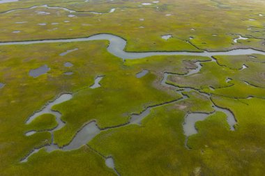 Cape Cod, Massachusetts 'te tuzlu bir bataklıkta dar kanallar var. Bu doğal karbon lavaboları vahşi yaşam için korunaklı bakım odalarıdır ve fırtınalara ve dalgalara karşı tampon görevi görürler..