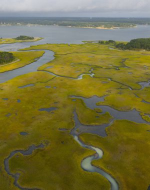 Cape Cod, Massachusetts 'te tuzlu bir bataklıkta dar kanallar var. Bu doğal karbon lavaboları vahşi yaşam için korunaklı bakım odalarıdır ve fırtınalara ve dalgalara karşı tampon görevi görürler..
