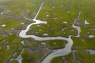Cape Cod, Massachusetts 'te tuzlu bir bataklıkta dar kanallar var. Bu doğal karbon lavaboları vahşi yaşam için korunaklı bakım odalarıdır ve fırtınalara ve dalgalara karşı tampon görevi görürler..