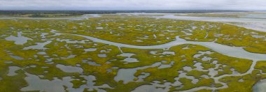 Cape Cod, Massachusetts 'te tuzlu bir bataklıkta dar kanallar var. Bu doğal karbon lavaboları vahşi yaşam için korunaklı bakım odalarıdır ve fırtınalara ve dalgalara karşı tampon görevi görürler..