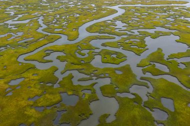 Sinuous kanalları Cape Cod, Massachusetts 'te manzaralı bir tuz bataklığı boyunca kıvrılır. Tuz bataklıkları doğal karbon lavaboları gibi davranır, vahşi yaşam için korunaklı çocuk odalarıdır, fırtına ve dalgalara karşı tampon görevi görürler..