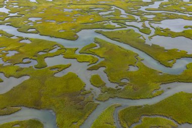 Sinuous kanalları Cape Cod, Massachusetts 'te manzaralı bir tuz bataklığı boyunca kıvrılır. Tuz bataklıkları doğal karbon lavaboları gibi davranır, vahşi yaşam için korunaklı çocuk odalarıdır, fırtına ve dalgalara karşı tampon görevi görürler..
