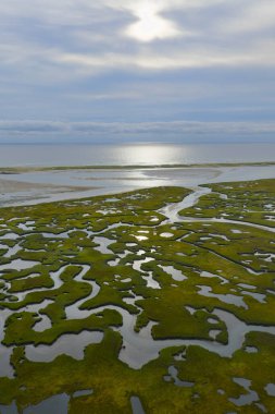 Sinuous kanalları Cape Cod, Massachusetts 'te manzaralı bir tuz bataklığı boyunca kıvrılır. Tuz bataklıkları doğal karbon lavaboları gibi davranır, vahşi yaşam için korunaklı çocuk odalarıdır, fırtına ve dalgalara karşı tampon görevi görürler..
