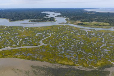 Sinuous kanalları Cape Cod, Massachusetts 'te manzaralı bir tuz bataklığı boyunca kıvrılır. Tuz bataklıkları doğal karbon lavaboları gibi davranır, vahşi yaşam için korunaklı çocuk odalarıdır, fırtına ve dalgalara karşı tampon görevi görürler..