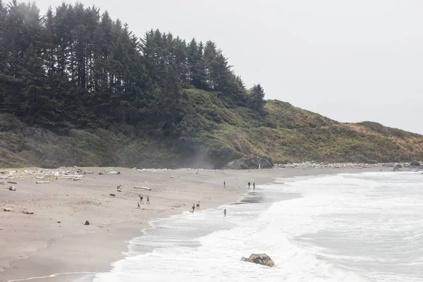 L Ocean Pacifique Froid Se Lave Contre Une Belle Plage De Sable Fin Dans Le Comte De Humbolt Californie Du Nord Tourisme Cote Ouest Stock Photo